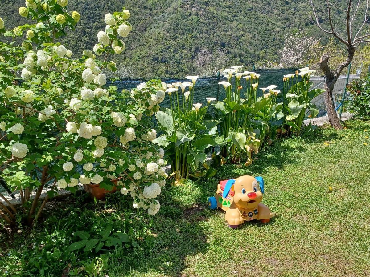 Casa Canepa Villa โซริ ภายนอก รูปภาพ